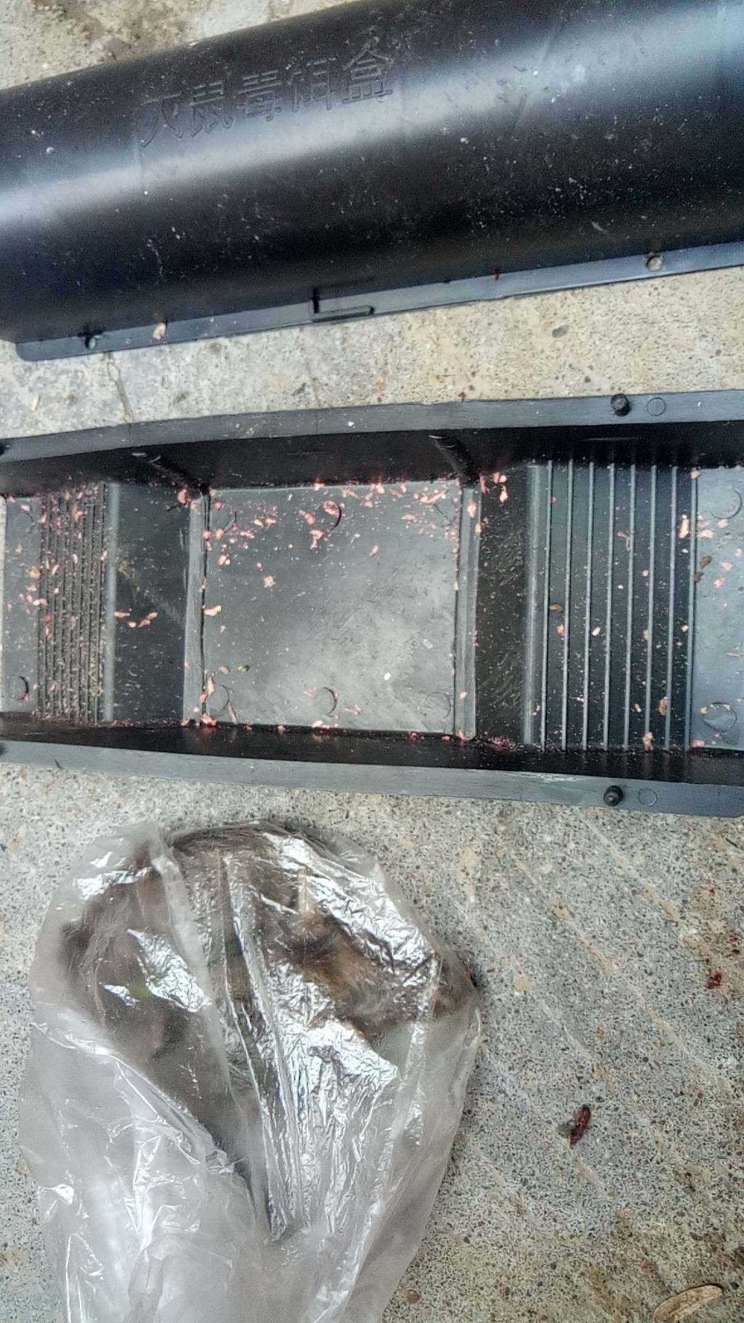 青蛙控虫灭老鼠近照