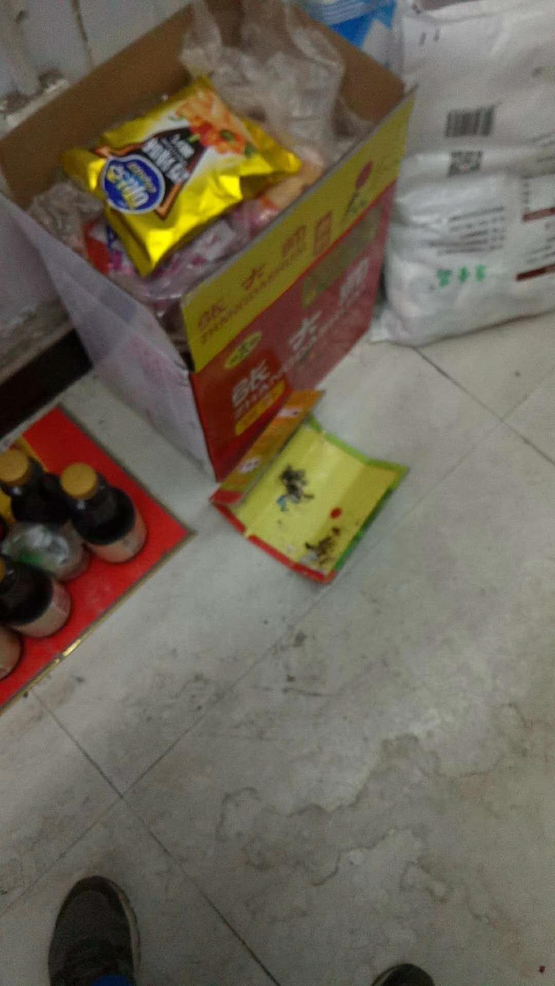 三门峡灭老鼠