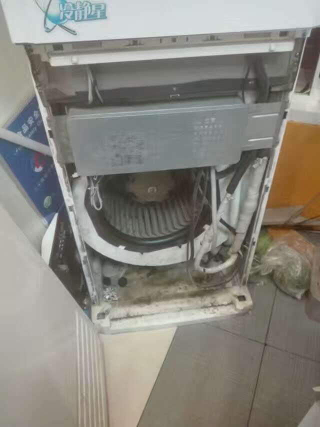 青蛙虫控为杨孝业灭鼠灭蟑作业