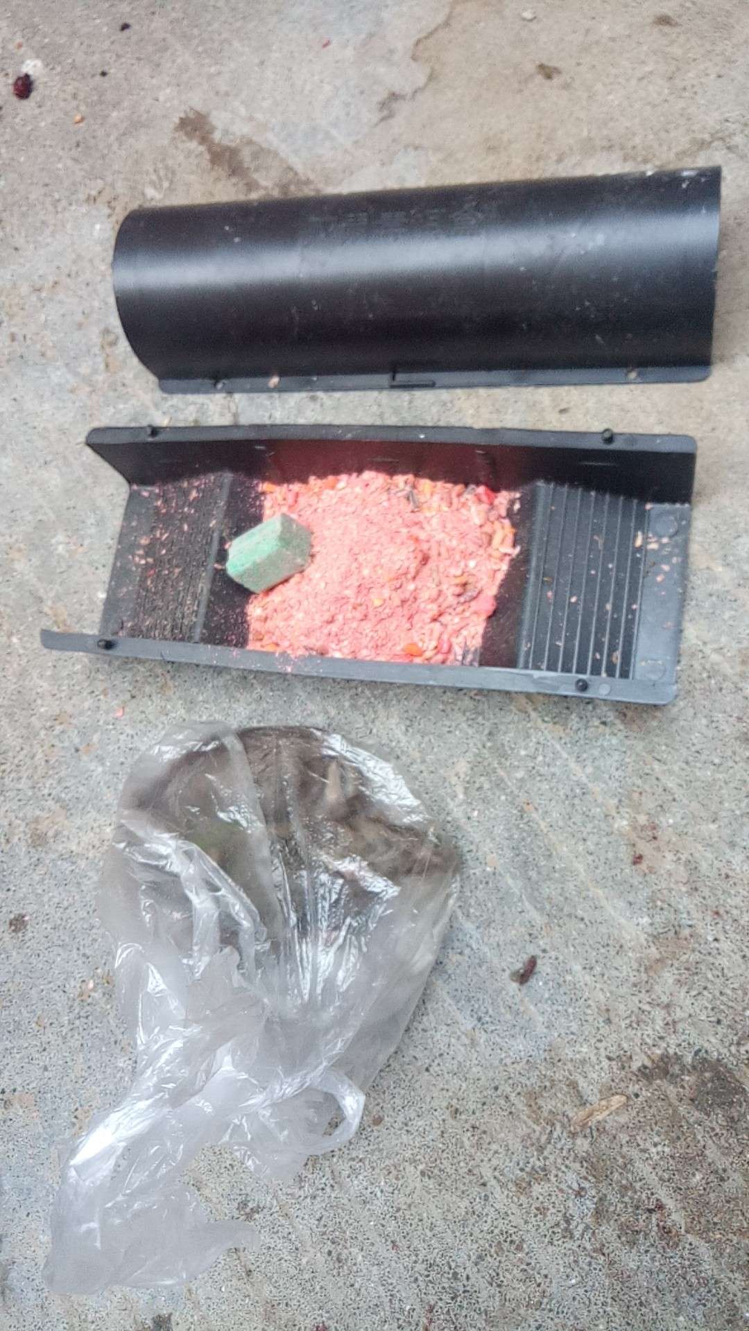 青蛙控虫灭老鼠填药